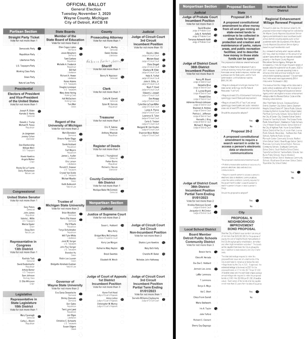 Primary-style BMD ballot example 1